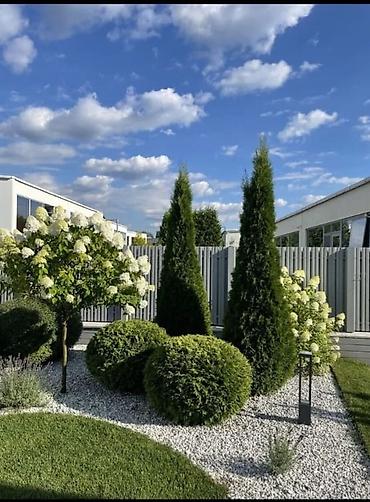 Строительство под ключ: Ландшафтные работы под ключ - Проектирование и обустройство участка — 9