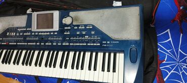 струны для гитары для начинающих: Korg pa 800 satılır təcili ram 128 602 versiya heç bir prablemi