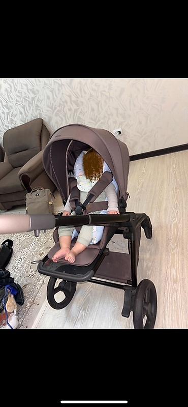 Коляски: Коляска «Anex flo»
Цвет кофе/коричневый — 15