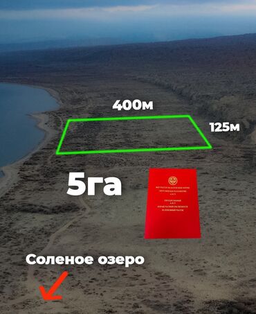 сниму дом на иссык куле: 500 соток, Курулуш, Кызыл китеп, Сатып алуу-сатуу келишими