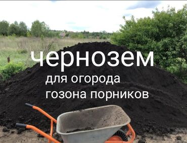 аммофос цена за тонну: Чернозем для гозона порников огорода чернозем для гозона порников