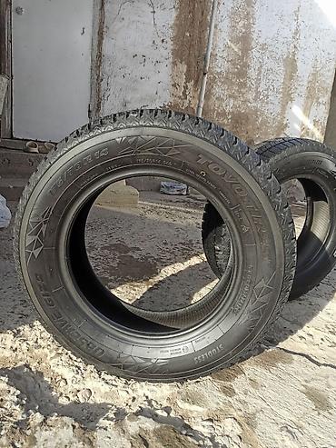 14 зима: Зимние шины Toyo Observe GIZ2 - Размер: 175/70 R14 - Тип: зимние, без — 4