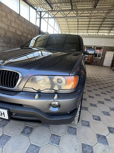 BMW: BMW X5: 2003 г., 3 л, Автомат, Дизель, Кроссовер — 2