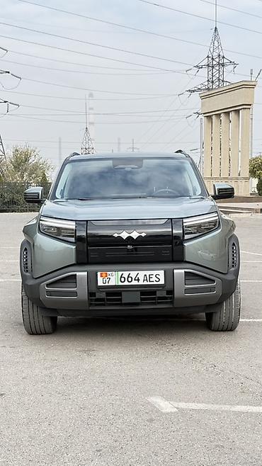 kawasaki h2: BYD FangChengBao Leopard 3: 2025 г., Автомат, Электромобиль, Кроссовер — 5