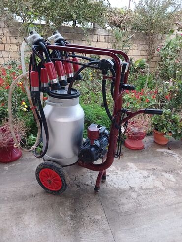 Biznes üçün program təminatı: Tək bidon, Paslanmaz bidon