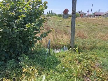 Torpaq sahələrinin satışı: 8 sot, Tikinti, Mülkiyyətçi, Texniki pasport — 5