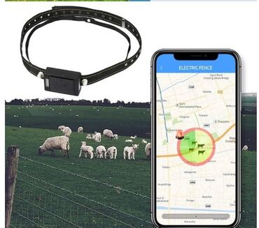 оптом бараны: Gps трекер для животных ОПТОМ и в Розницу. Поможет найти животное