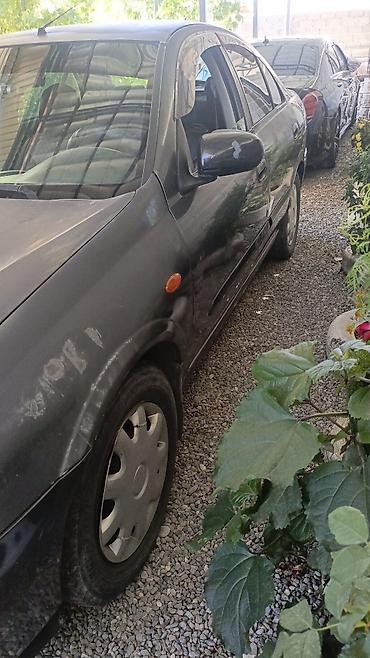 нур мото: Nissan Almera: 2004 г., 1.6 л, Механика, Бензин, Седан — 3