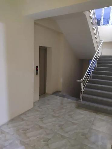 Yeni tikili: 2 otaqlı, Yeni tikili, 53 kv. m — 2