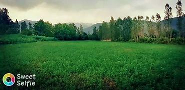 Torpaq sahələrinin satışı: Kənd təsərrüfatı — 3