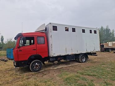 краска на авто: Грузовик Mercedes-Benz (среднетоннажный) с цельнометаллическим — 3