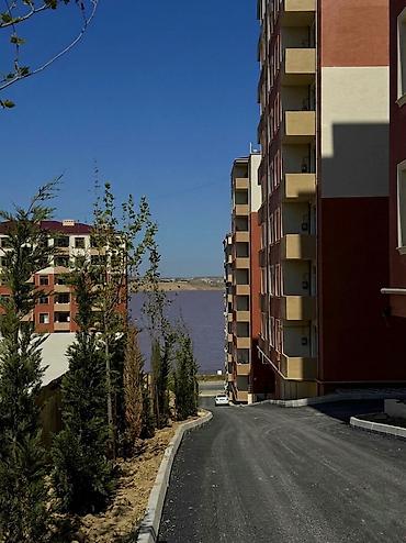tap.az ucar: 1 otaqlı, Yeni tikili, 50 kv. m — 2