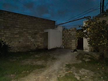 berde ev satışı: Şağan 3 otaqlı, 120 kv. m, Təmirsiz — 4