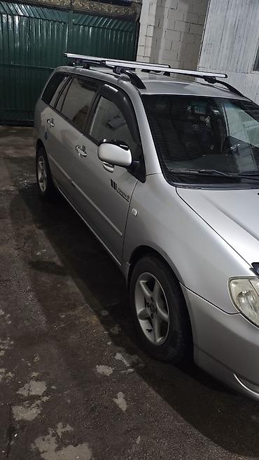 e53 amg: Toyota Corolla: 2024 г., 2 л, Механика, Дизель, Универсал — 2