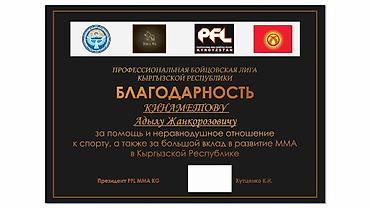 переплет диплома: Высокоточная печать, | Книги, Листовки — 2