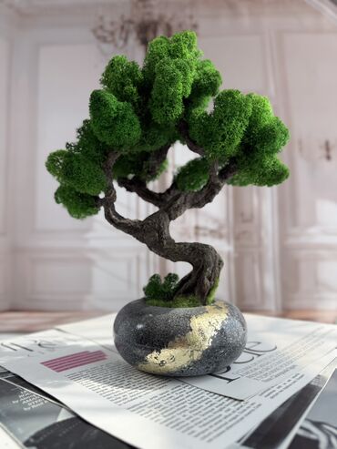 кора для орхидей: Деревья-бонсай из натурального стабилизированного мха🌳 -это