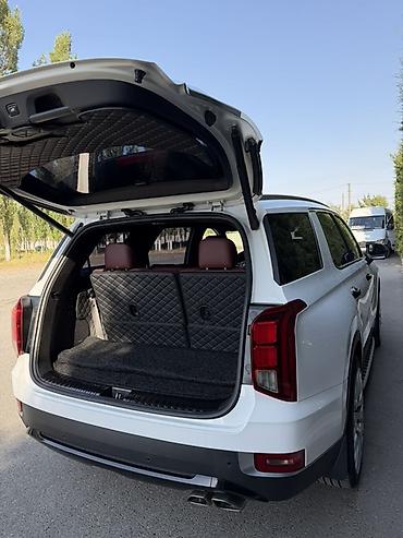 go park: Hyundai Palisade: 2020 г., Автомат, Дизель, Кроссовер — 10