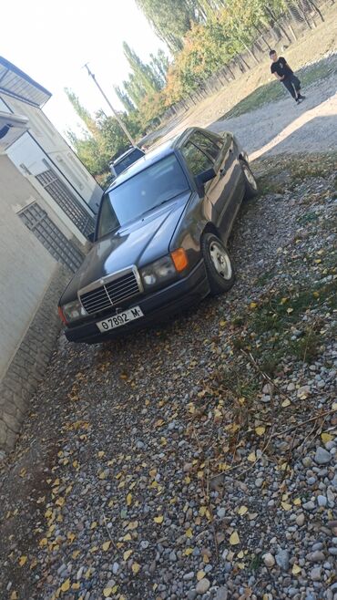 мерседес w124 e500 волчок купить в японии: Mercedes-Benz W124: 1988 г., 2.3 л, Механика, Бензин, Седан