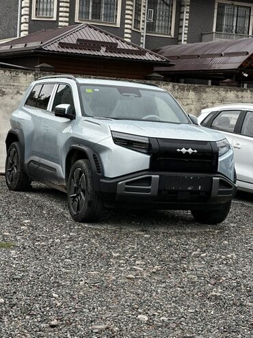 степ машына: BYD : 2025 г., Автомат, Электромобиль, Внедорожник