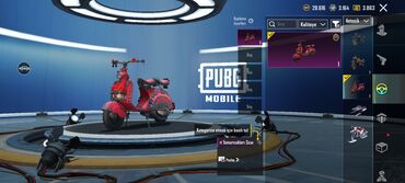 Digər: PUBG Mobile hesabı – zəngin kosmetik kolleksiya - X-Suit — 24