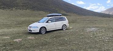 audi 80 1 8: Honda Odyssey: 2001 г., 2.3 л, Автомат, Бензин, Минивэн — 2