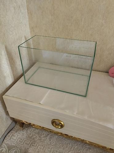 akvaryum filtiri: Şüşə akvarium - Material: şəffaf, düz kənarlı şüşə - Forma — 1