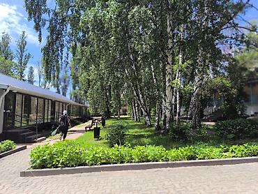 Иссык-Куль 2026: Номер, НЕПТУН Парковка, стоянка, Футбольное поле, Охраняемая территория — 5