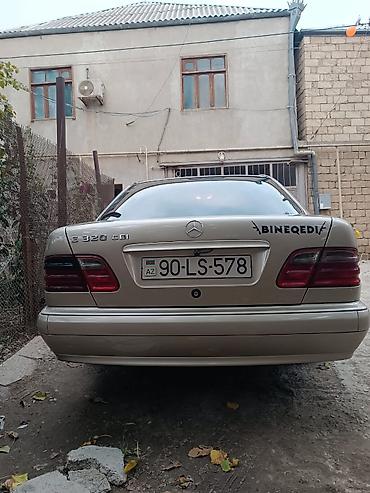 попугайчики купить: Mercedes-Benz E 220: 2.2 л | 2001 г. Седан — 8