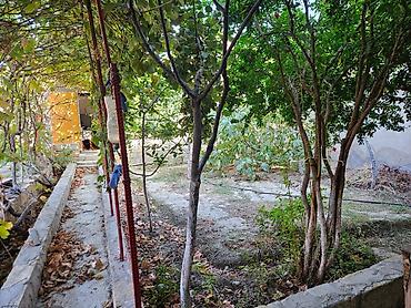 Həyət evləri və villaların satışı: Həyətyanı ev sahəsi - Tamamilə hasarlanmış, məxfilik təmin edən — 16