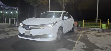 чемодан для авто: Сдаю в аренду: Легковое авто, Частная аренда