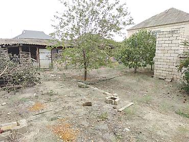 təcili satilir: 6 sot, Tikinti, Mülkiyyətçi, Kupça (Çıxarış) — 10