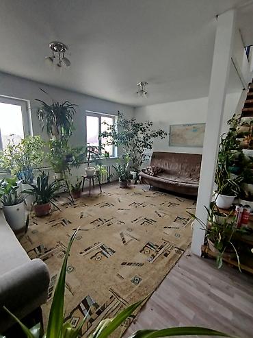 продаю дом село кенеш: 6 комнат и более, 260 м², 4 соток, Бишкек, Рынок Баят/Азиз Собственник — 3