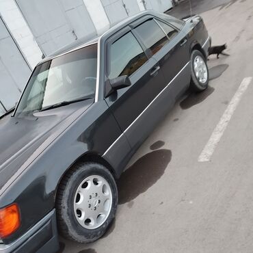 продаю или меняю на мерс: Mercedes-Benz 220: 1993 г., 2.2 л, Механика, Бензин, Седан