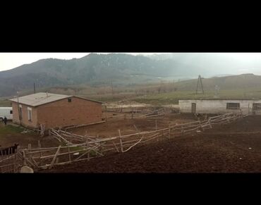 Сельхоз предприятия: Продаётся кашара Иссык-Кульский район село Ананьево. Общая территория at lalafo.kg — 6 Сельхоз предприятия: Продаётся кашара Иссык-Кульский район село Ананьево. Общая территория — 6