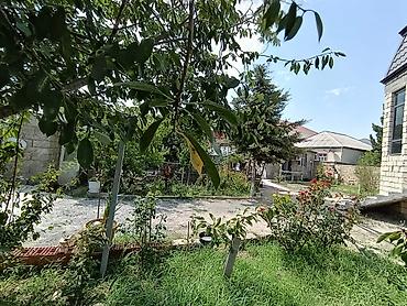 torpaq satiwi: 3 sot, Tikinti, Kupça (Çıxarış), Bələdiyyə — 2
