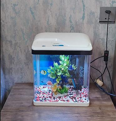 akvarium filtiri: Sobo akvarium dəsti – kompakt stolüstü model - Marka/model: SOBO — 1