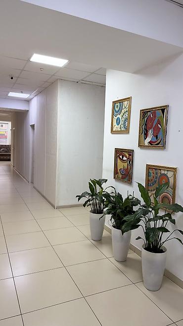 офисы в бишкеке в аренду: Сдаю Офис целиком: 15 м², В бизнес центре, С ремонтом, Первая линия — 10