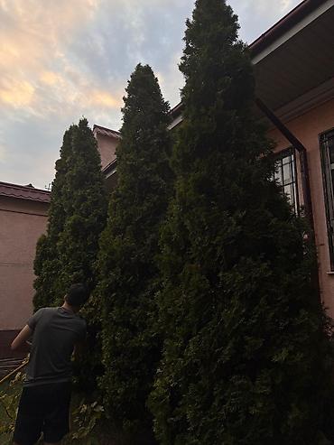 Продажа коттеджей и домов: Продаются два кирпичных дома на одном участке — отличное предложение — 2