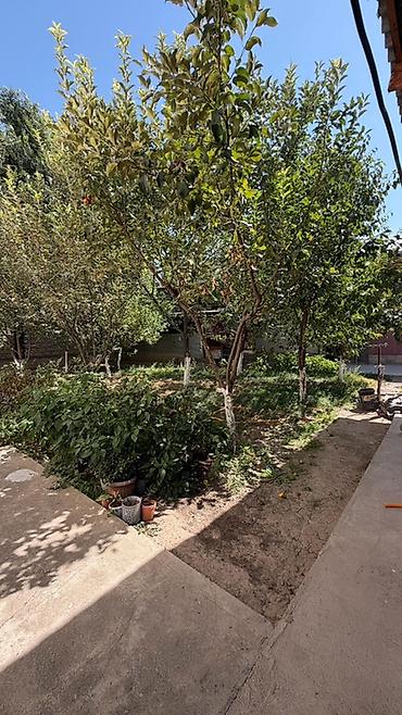 Дома: 📍 В Сокулуке продаётся новый трёхуровневый дом! Площадь дома — 2