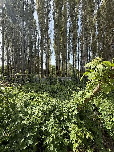 Продажа участков: 9 соток, Для строительства, Красная книга, Тех паспорт — 8