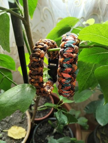 Bilərziklər: Bilərzik — 4