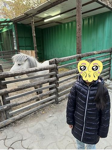 утепленные джинсы: Детское утеплённое пальто-пуховик Next - Бренд: Next - Модель — 1