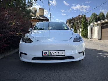 маленькая машина: Tesla Model Y: 2021 г., 0.1 л, Автомат, Электромобиль, Кроссовер