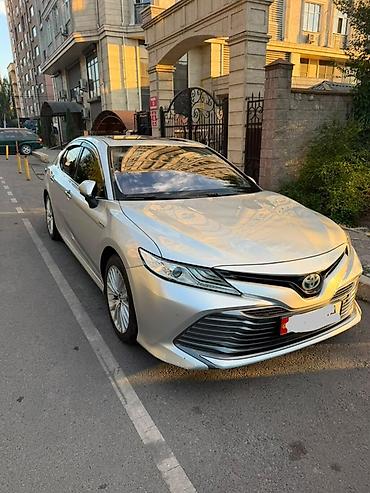 на камри 20: Toyota Camry: 2019 г., 2.5 л, Вариатор, Гибрид, Седан — 1