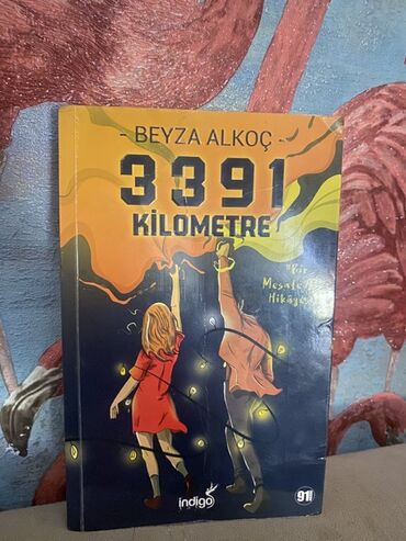 физика сборник тестов pdf 2023: Məhsul: Kitab – “3391 Kilometrə” Müəllif: Beyza Alkoç Nəşriyyat