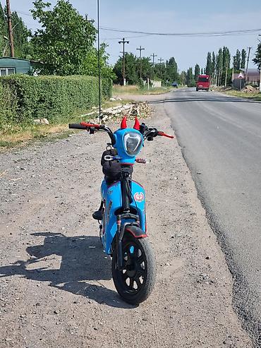 зарядка на мопед: Мотор не работает одам за 21000 — 3