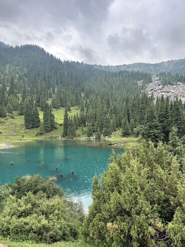 Трансфер, пассажирские перевозки: По региону Такси, легковое авто | 6 мест — 14