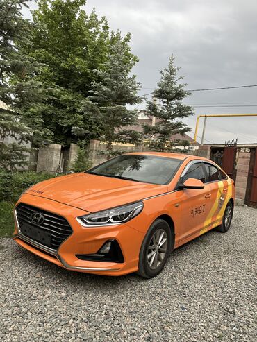 кияа рийо: Hyundai Sonata: 2018 г., 2 л, Автомат, Газ, Седан