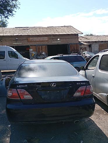 mazda protage: Lexus ES: 2002 г., 3 л, Автомат, Бензин, Седан — 2