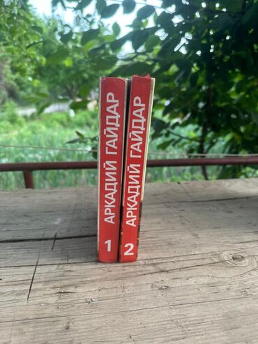 Художественная литература: Классика, На русском языке — 17